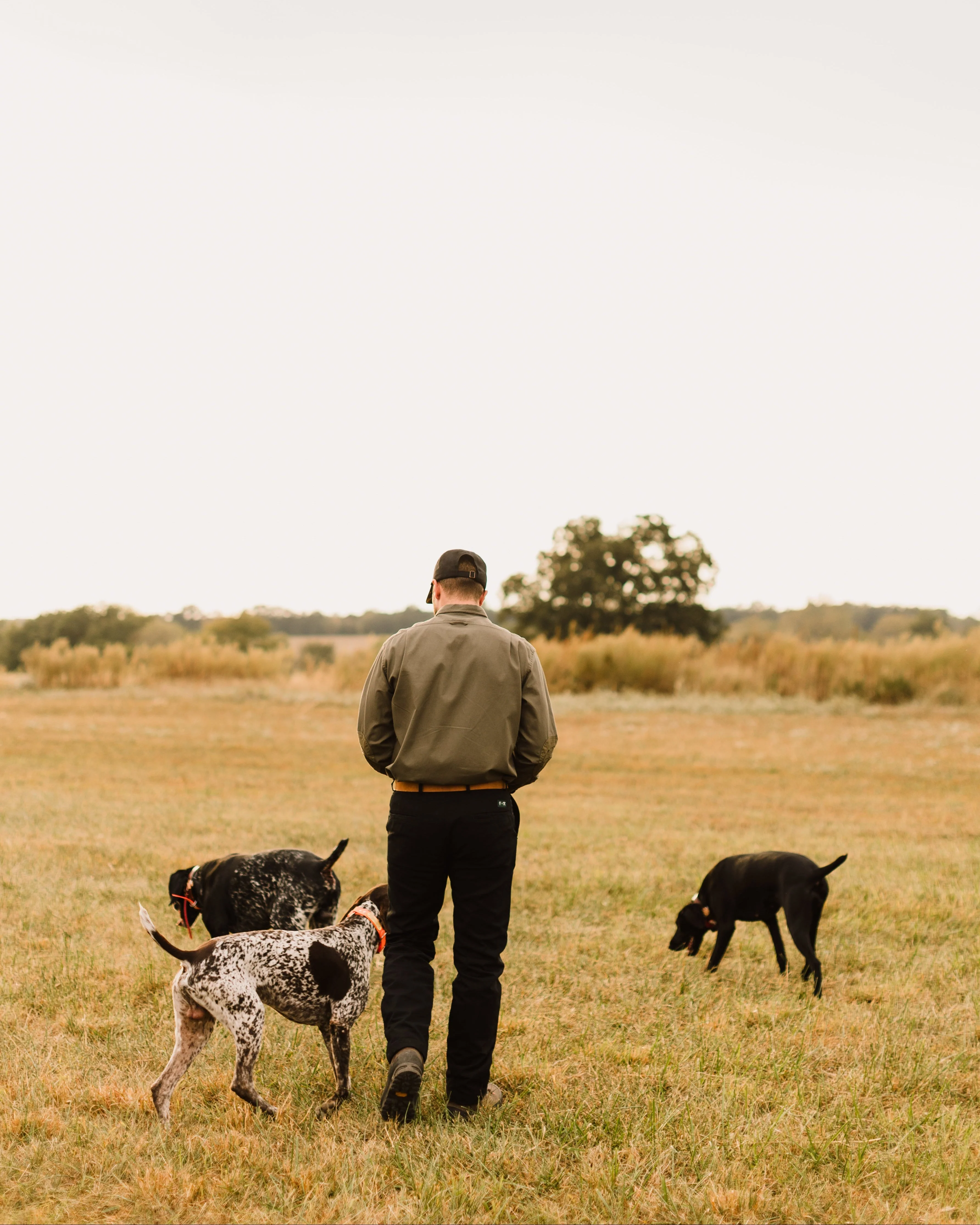Jack Carr x Ball and Buck Hybrid Field Pant - Black - Image 3